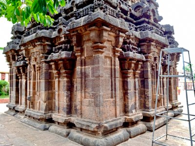 9th_century_Golingeswara_temple,_Biccavolu_Andhra_Pradesh_-_21