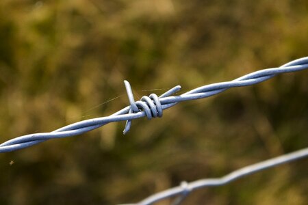 Prickly wiring wire fence photo