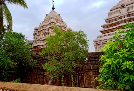 9th_century_Golingeswara_temple,_Biccavolu_Andhra_Pradesh_-_54