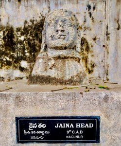 9th_century_Jain_ruins,_Nagunur_Telangana