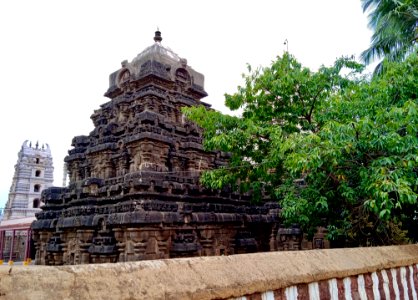 9th_century_Golingeswara_temple,_Biccavolu_Andhra_Pradesh_-_28