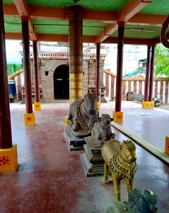 9th_century_Golingeswara_temple,_Biccavolu_Andhra_Pradesh_-_43