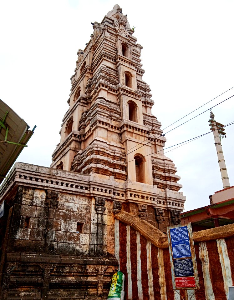 9th_century_Golingeswara_temple,_Biccavolu_Andhra_Pradesh_-_45