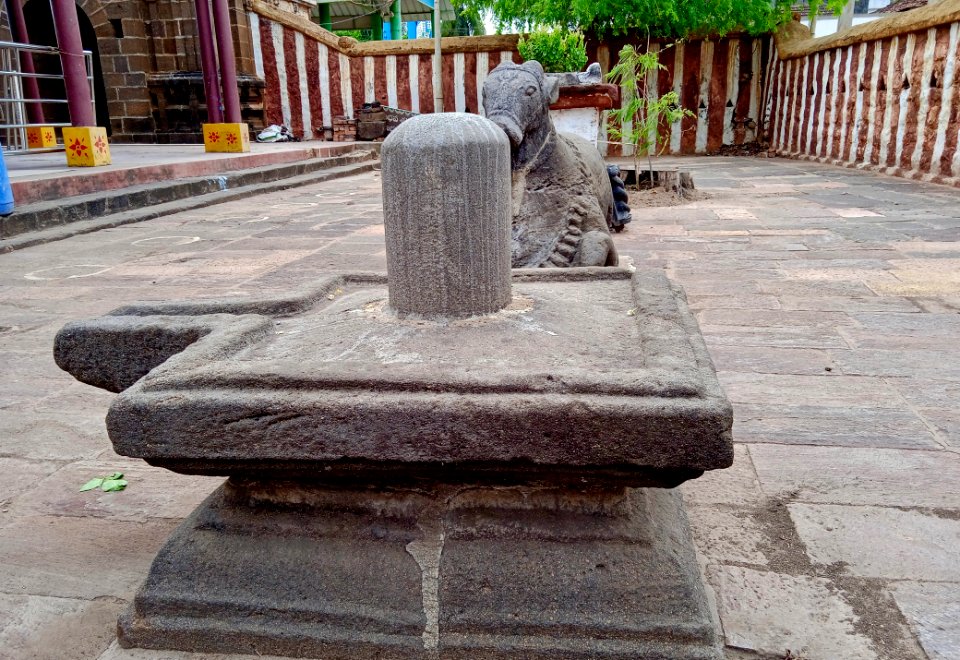 9th_century_Golingeswara_temple,_Biccavolu_Andhra_Pradesh_-_32