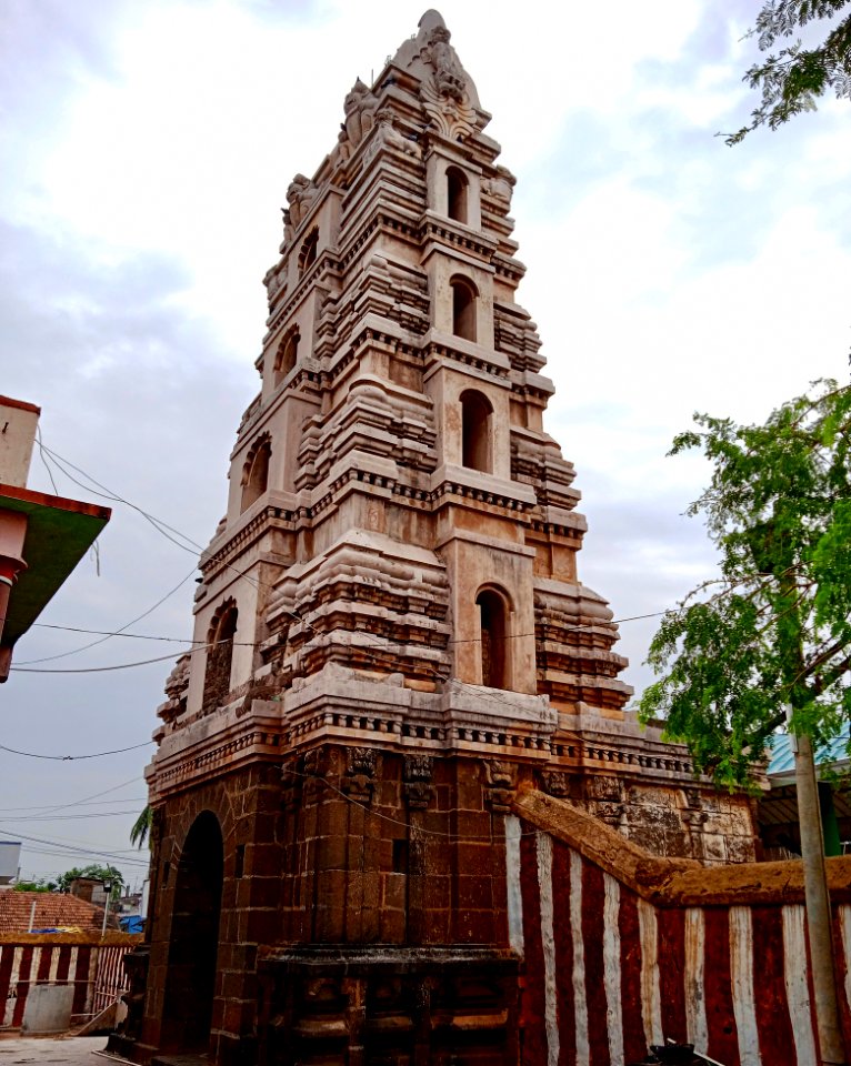9th_century_Golingeswara_temple,_Biccavolu_Andhra_Pradesh_-_20