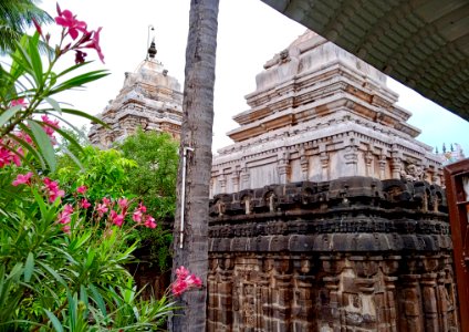 9th_century_Golingeswara_temple,_Biccavolu_Andhra_Pradesh_-_117