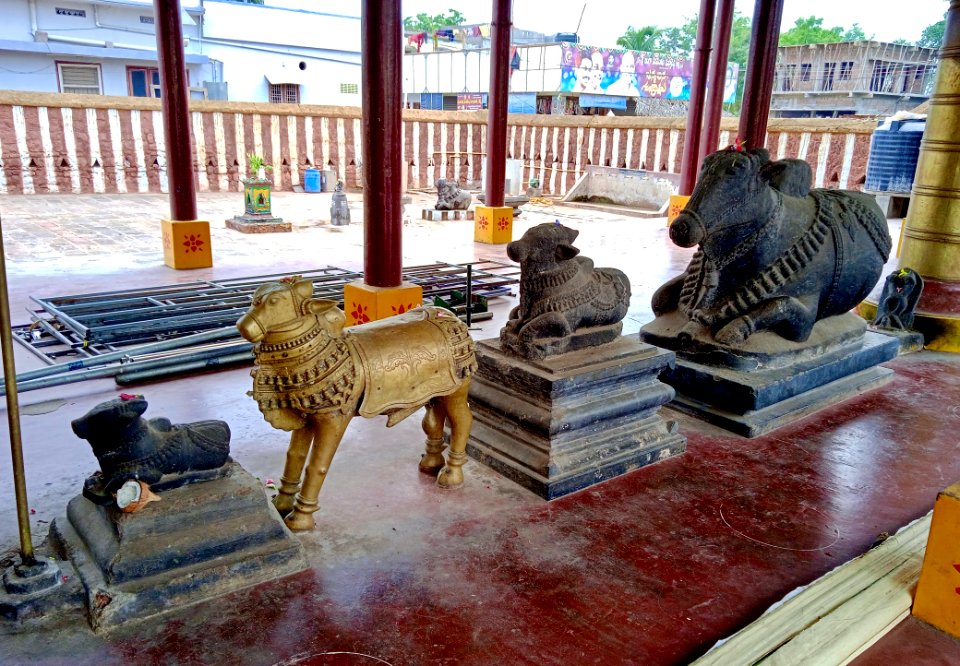 9th_century_Golingeswara_temple,_Biccavolu_Andhra_Pradesh_-_41