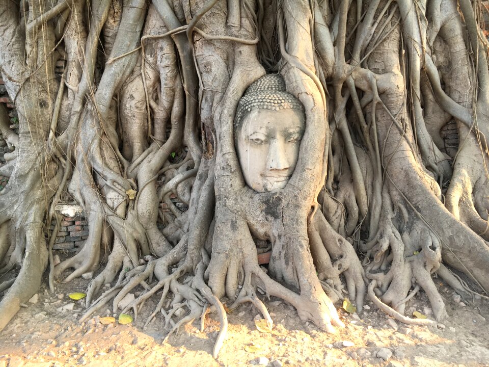Travel worth a visit ayyutthaya