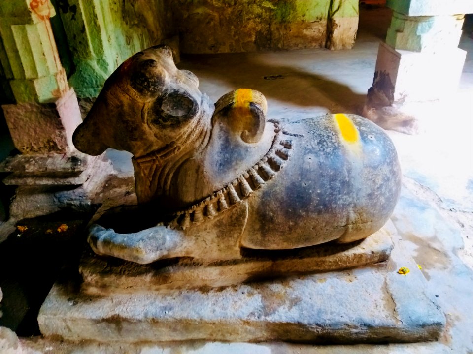 9th_century_Navalinga_temple,_Kukkanur,_Karnataka_India_-_26