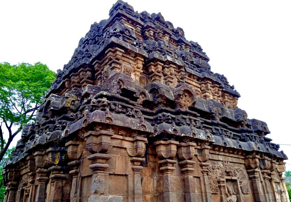 9th_century_Nakkula_temple,_Biccavolu_Andhra_Pradesh_-_11