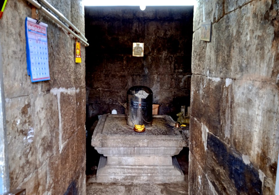 9th_century_Nakkula_temple,_Biccavolu_Andhra_Pradesh_-_14