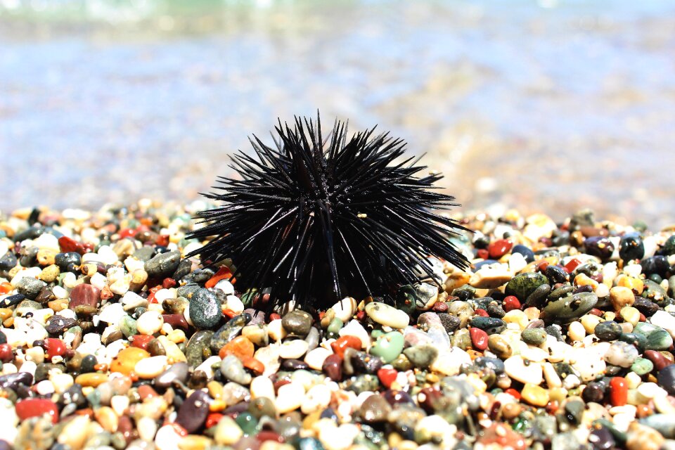 Pebbles beach greece