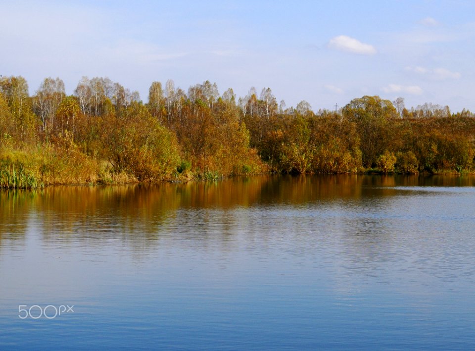 Есть_в_осени_первоначальной_короткая_но_дивная_пор_(246853709)
