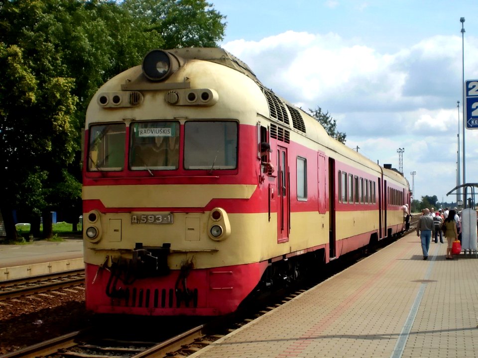 Д1-593,_Литва,_Шяуляйский_уезд,_станция_Шяуляй_(Trainpix_91065)