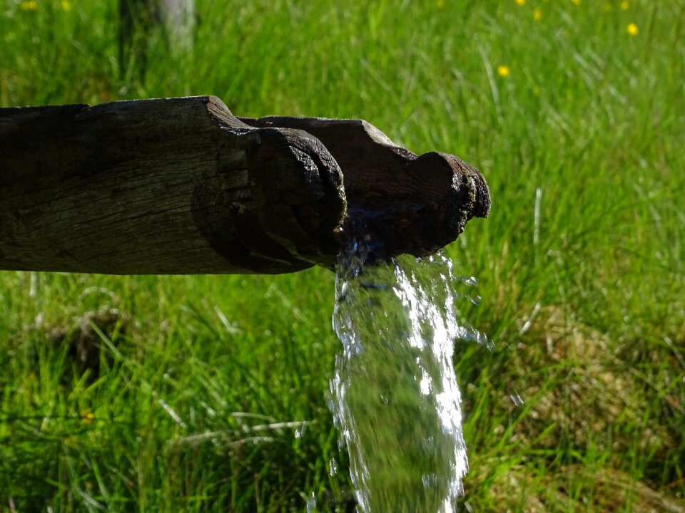 Water feature meadow watercourse