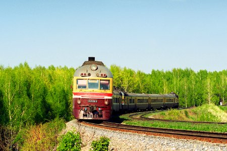 Д1-802,_Russia,_Moscow_region,_Ozherelye_-_Pchelovodnoye_stretch_(Trainpix_158946)