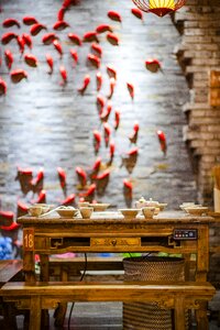Stores goldfish the dinner table