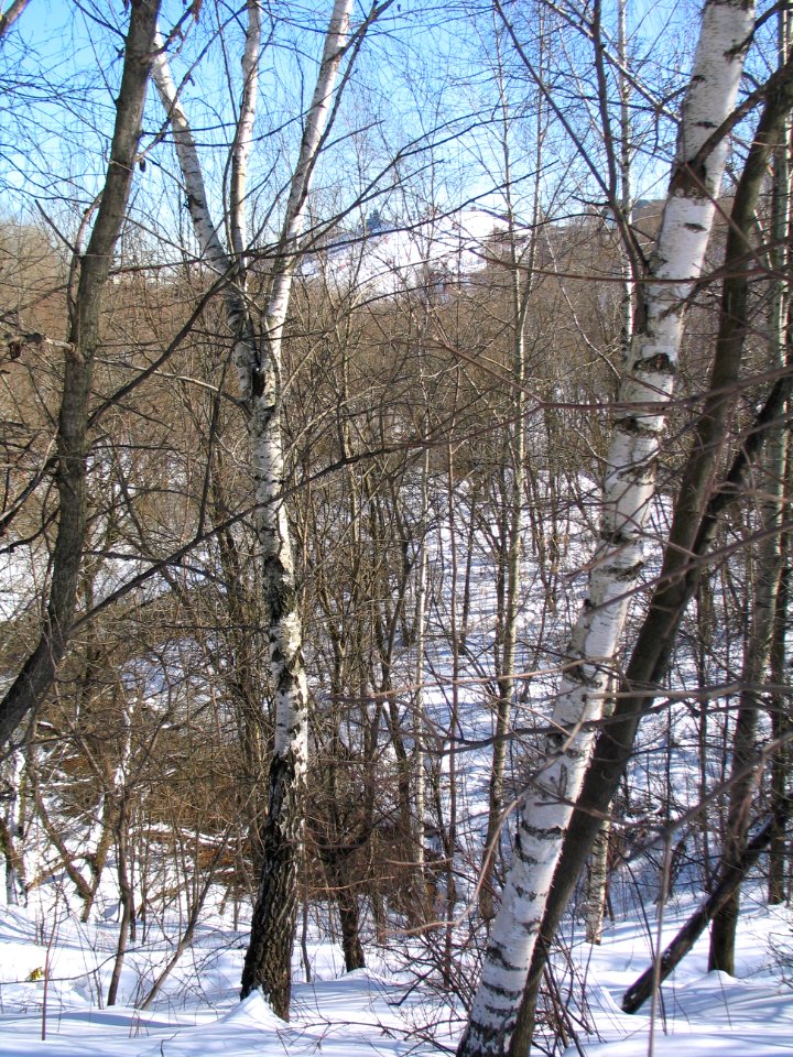 Долина_реки_Котловки_и_лыжная_горка_2018-03-29