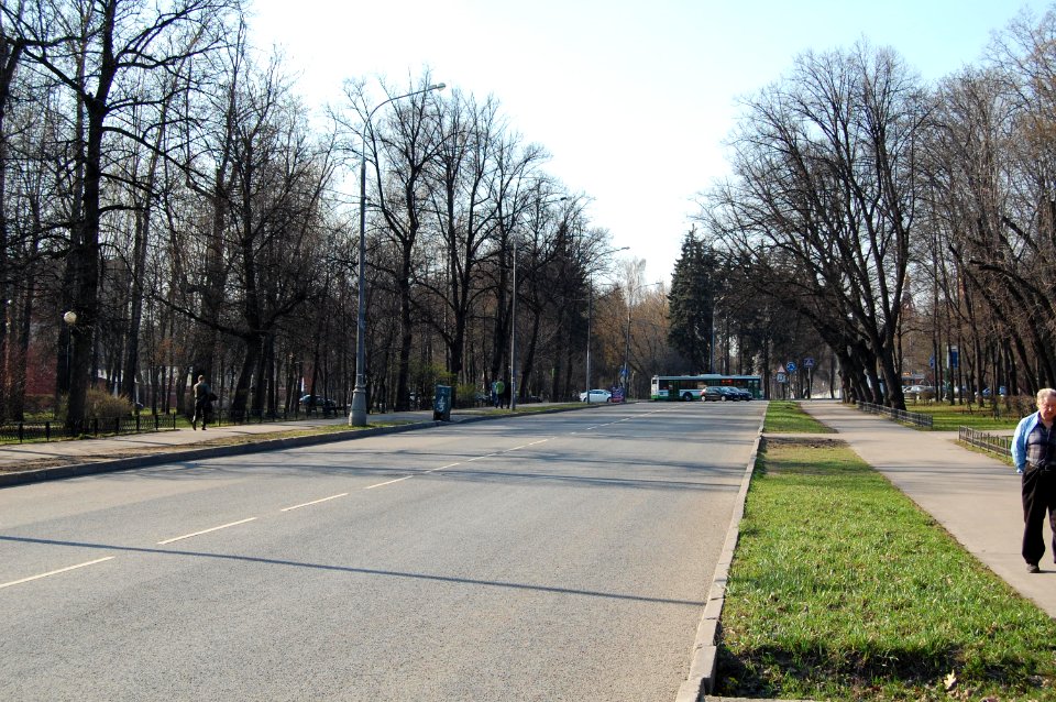 Дворцовая_аллея_апрель_2014_01