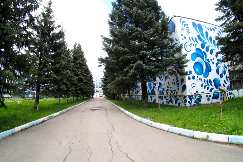Посёлок_Электроизолятор_2020-05_s02