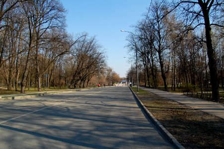 Дворцовая_аллея_апрель_2014_00