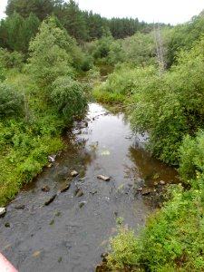 Река_Уфалейка_(Уфалей)_f028