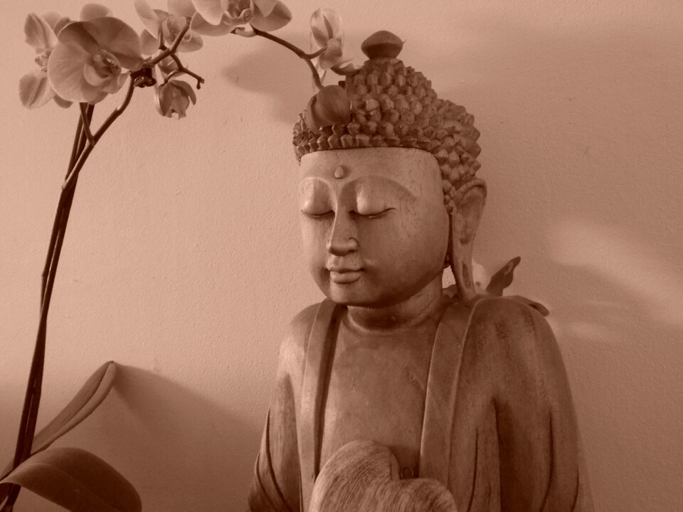 Tranquility brown peace brown buddha
