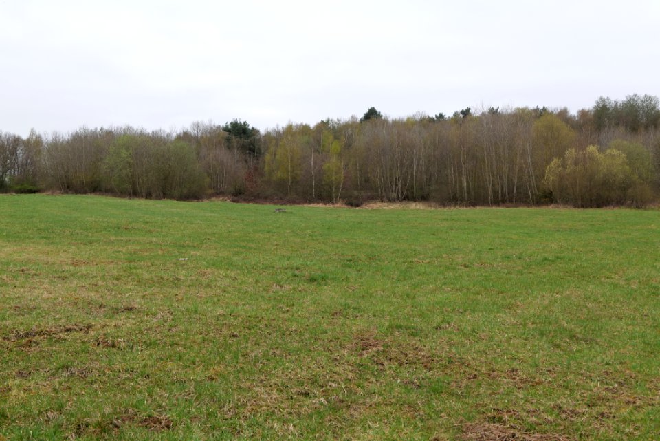 Übungsplatz_bei_Ockstadt_2021-04-02_52