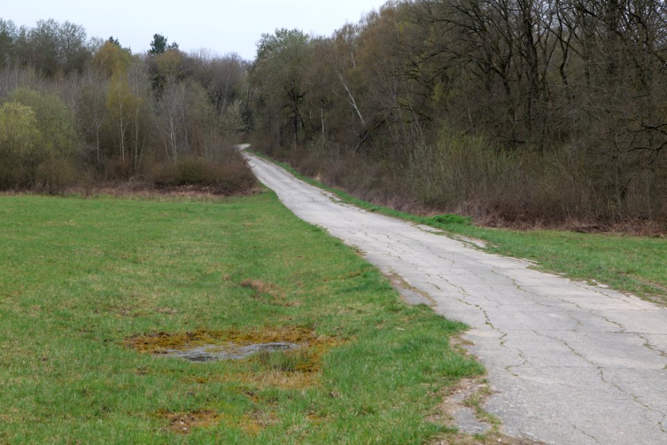 Übungsplatz_bei_Ockstadt_2021-04-02_54