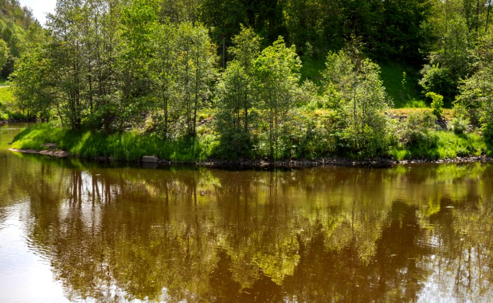 Örekilsälven_downstream_from_Kviström_in_Munkedal_12