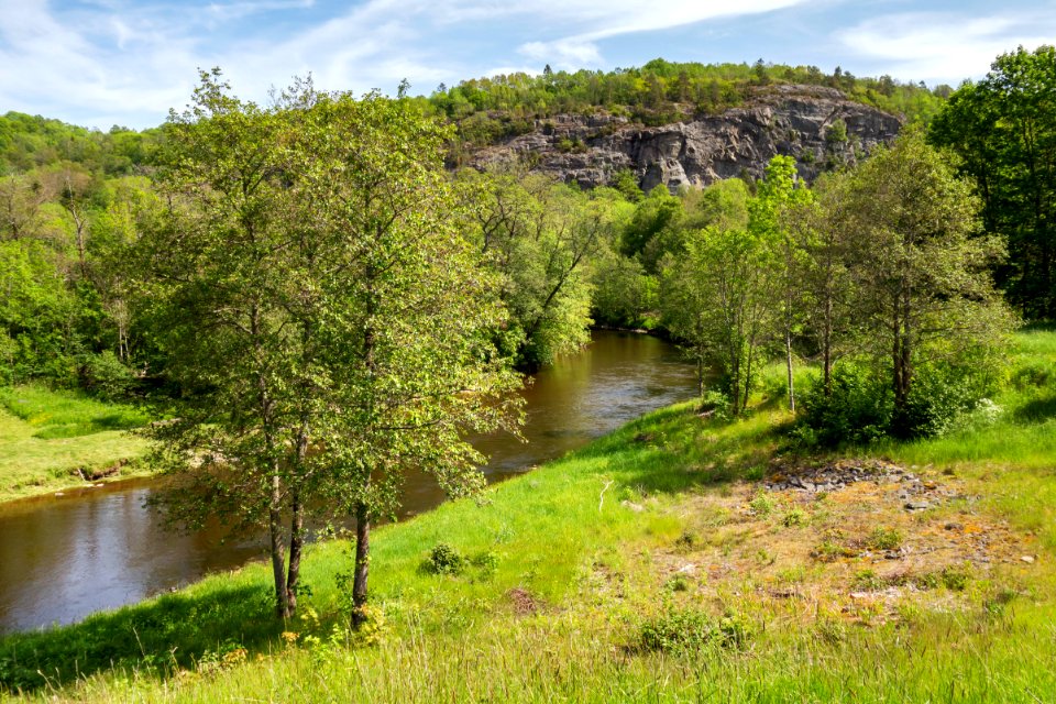 Örekilsälven_downstream_from_Kvistrum_bridge_1