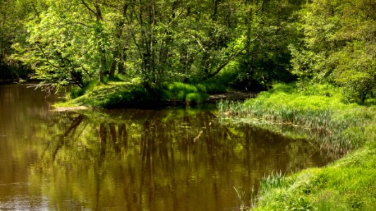 Örekilsälven_downstream_from_Kviström_in_Munkedal_5