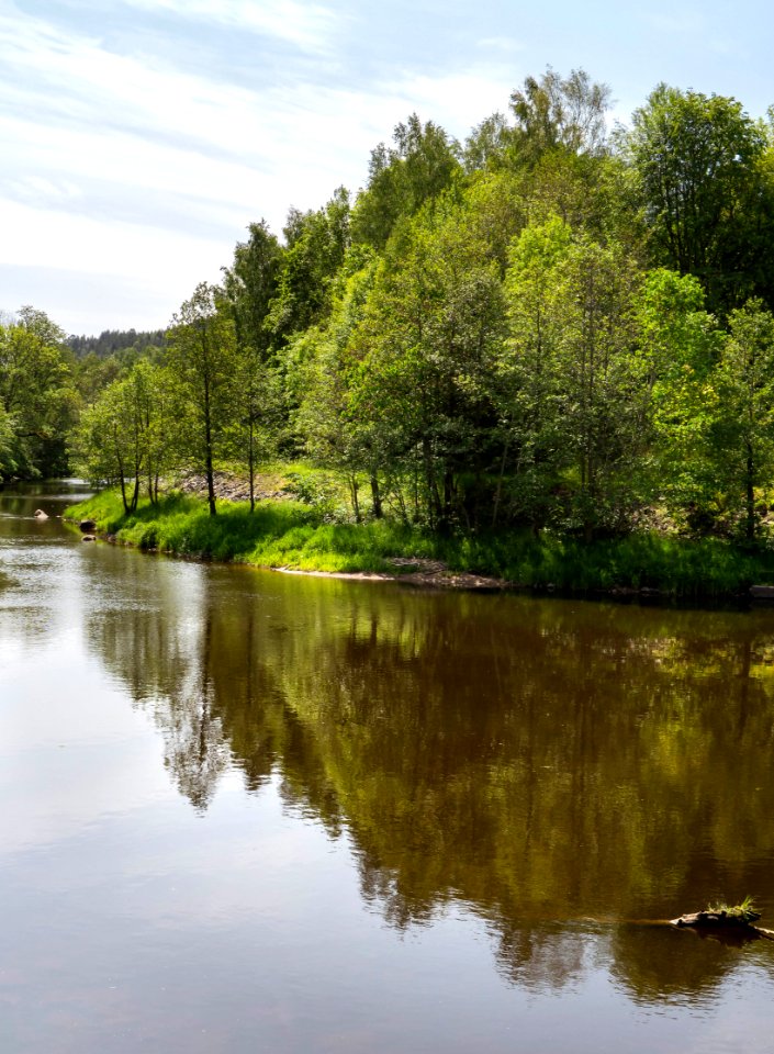 Örekilsälven_downstream_from_Kviström_in_Munkedal_2