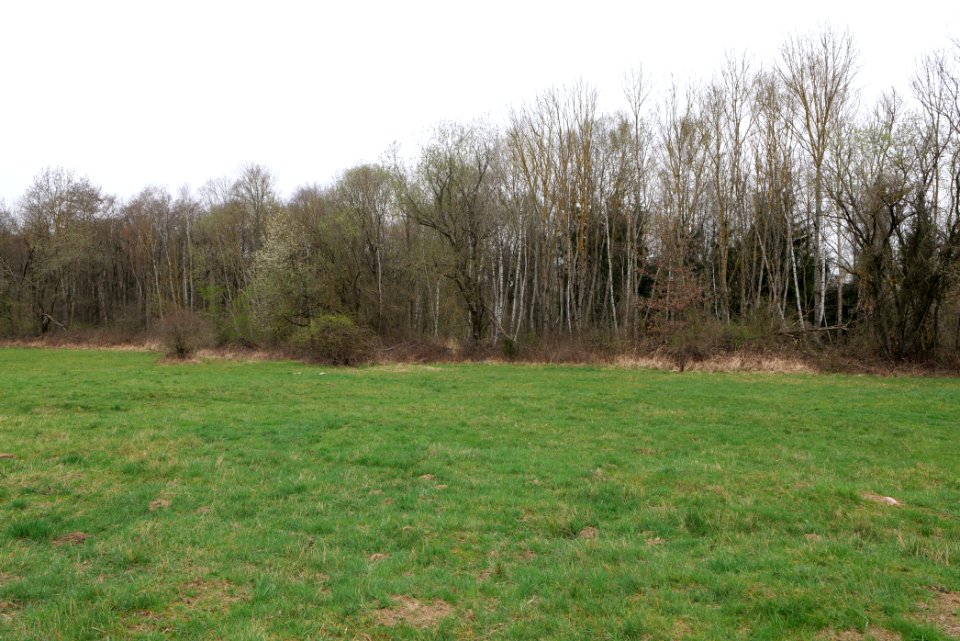 Übungsplatz_bei_Ockstadt_2021-04-02_49