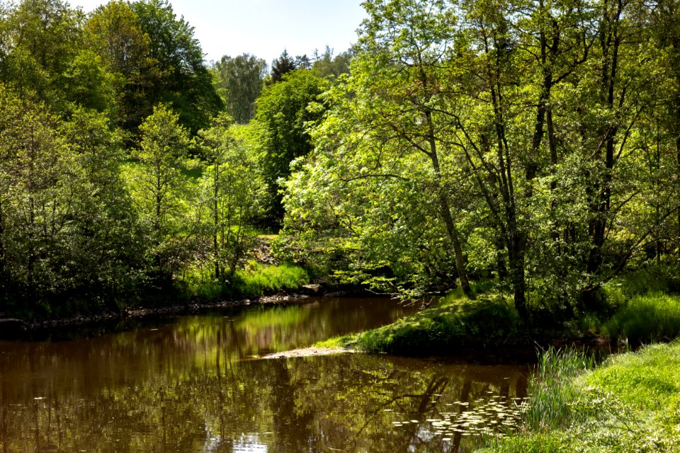 Örekilsälven_downstream_from_Kviström_in_Munkedal_11