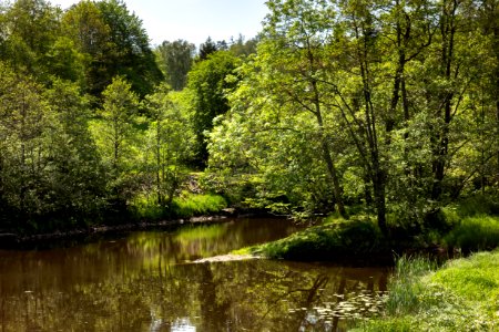 Örekilsälven_downstream_from_Kviström_in_Munkedal_11