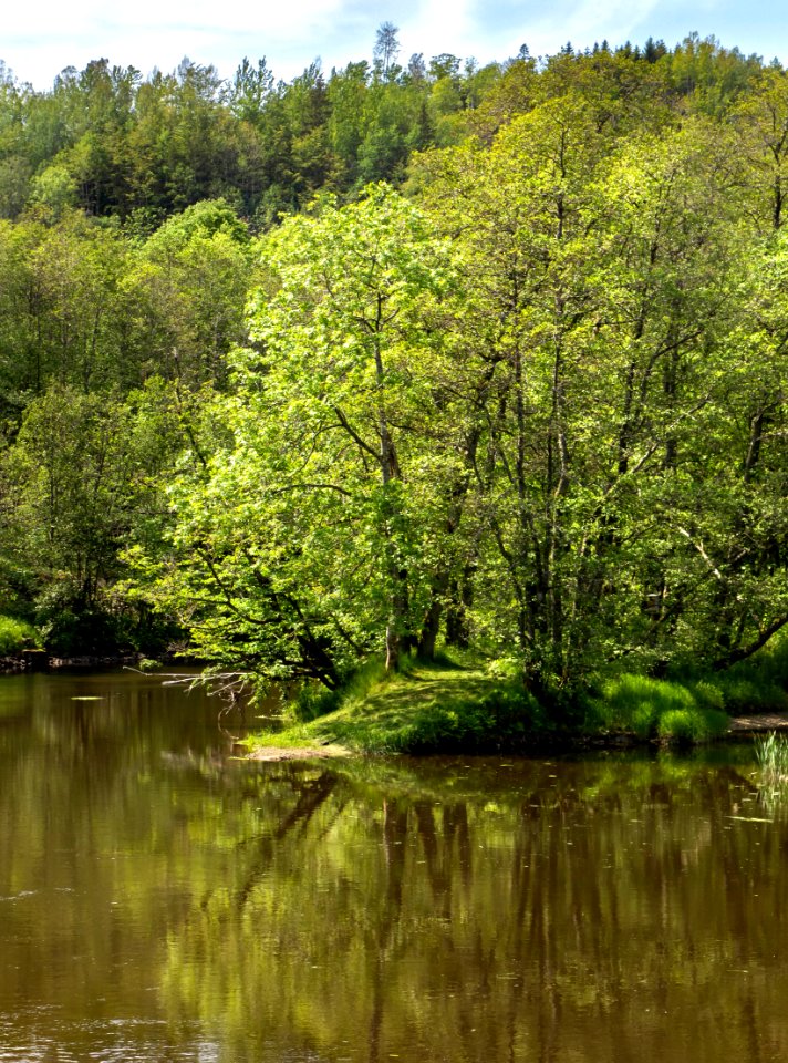 Örekilsälven_downstream_from_Kviström_in_Munkedal_4
