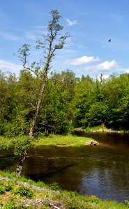 Örekilsälven_upstream_from_Kvistrum_bridge_2