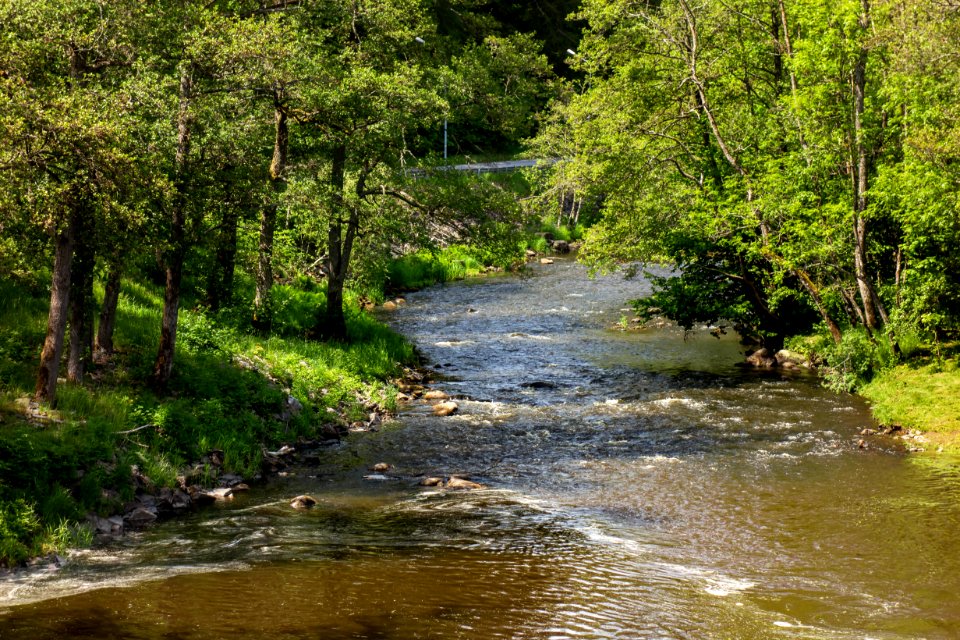Örekilsälven_upstream_from_Kvistrum_bridge_1