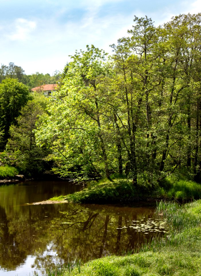 Örekilsälven_downstream_from_Kviström_in_Munkedal_9