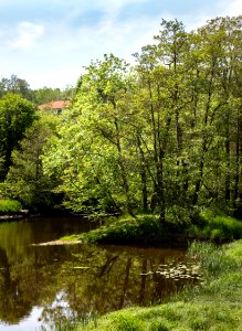 Örekilsälven_downstream_from_Kviström_in_Munkedal_9