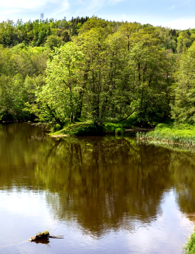 Örekilsälven_downstream_from_Kviström_in_Munkedal_6
