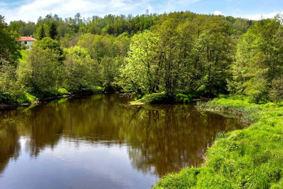 Örekilsälven_downstream_from_Kviström_in_Munkedal_3