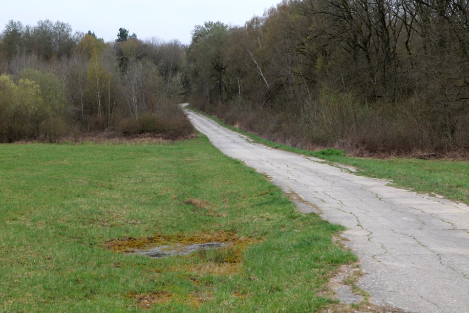 Übungsplatz_bei_Ockstadt_2021-04-02_53
