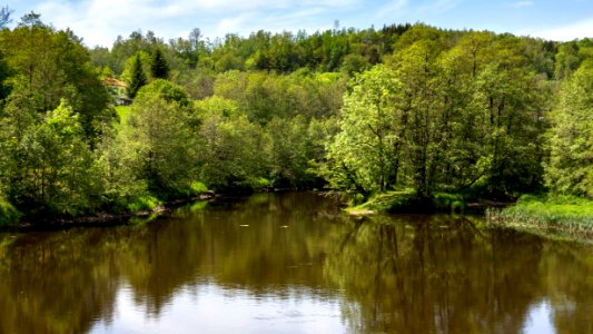 Örekilsälven_downstream_from_Kviström_in_Munkedal_8