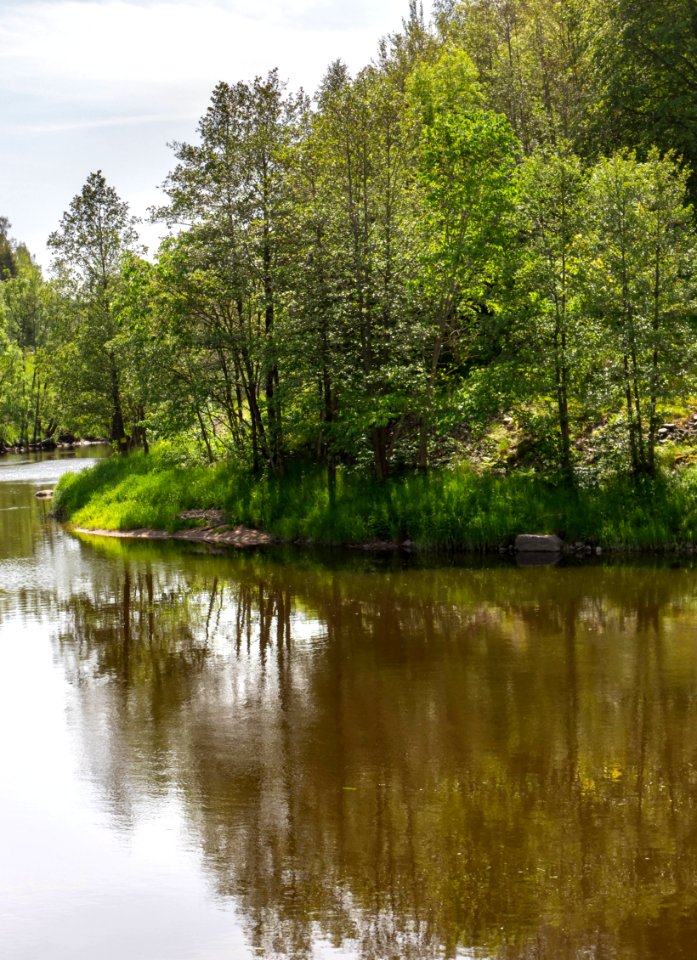 Örekilsälven_downstream_from_Kviström_in_Munkedal_10