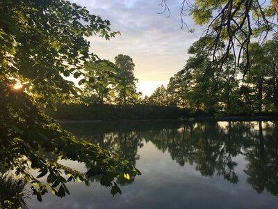 Idyllic bank nature