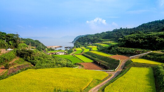 The countryside tanaka yamada's rice fields photo