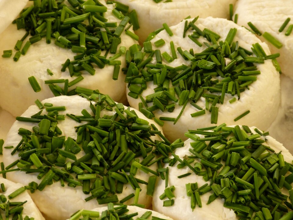 Food cheese counter nutrition