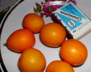 Кумкват_(Citrus_japonica)_01